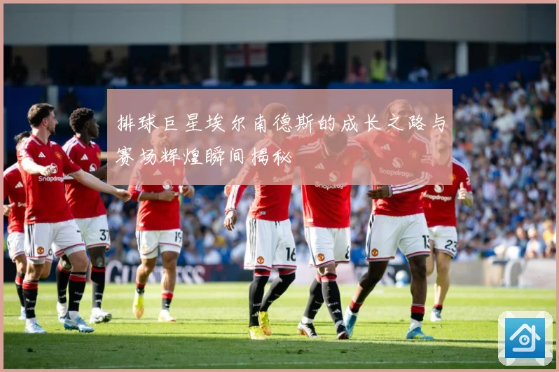 排球巨星埃尔南德斯的成长之路与赛场辉煌瞬间揭秘